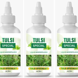Flipkart SmartBuy Tulsi Plant Boost Special Supplemet L...