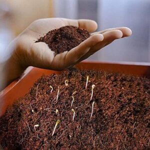 Ecogreen 1 Kg Vermicompost Cow Manure Organic & Natural...