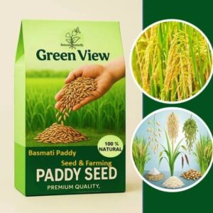 Green view Basmati Paddy,Agriculture, 1Kg Per Packet Se...