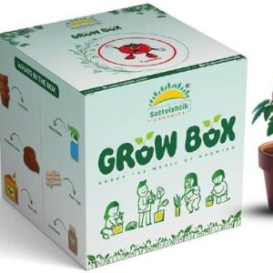 Sattvishtik Grow Box for Kids | Tomato Vegetable Kit, E...