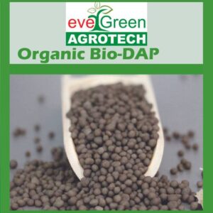Argo Tech Evergreen Organic Bio DAP Fertilizer help in ...