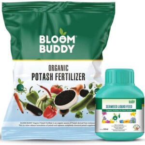 Bloom Buddy Organic Potash Fertilizer + Seaweed Liquid ...