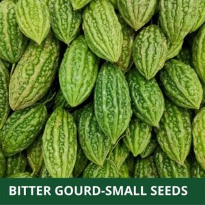 MKR Enterprises Bitter gourd Seeds Seed