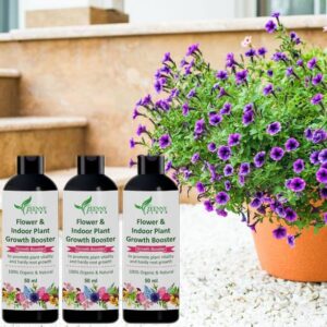 Zeenny Flora Pack Of 3, Natural Bloom Plant Growth Boos...