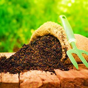 Navya germination Organic Compost Soil for Home Plants ...