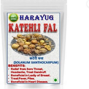 HARAYUG KATERI FRUIT - KATEHLI FAL - SOLANUM XANTHOCARP...