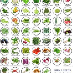 FRESHO SEEDS 50 VARIETIES 2500+ SEEDS(ORGANIC&HYBRID) V...