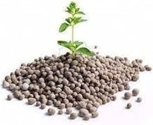 Seeds Basket Organic Bio-Fertilizer NPK Granules For All Plants And Gardening Purpose Water Soluble Perfect to Use on All Plants and Gardening| 100 GM |