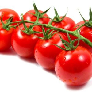 Arshiayat Hybrid Tomato Seeds for Home Gardening High Y...