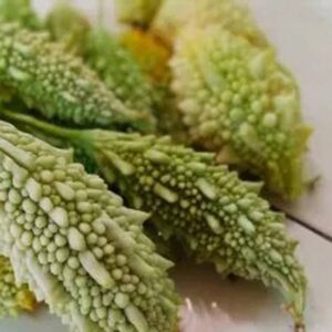 naturehils Bitter Gourd Seeds, Organic Seed for Gardeni...