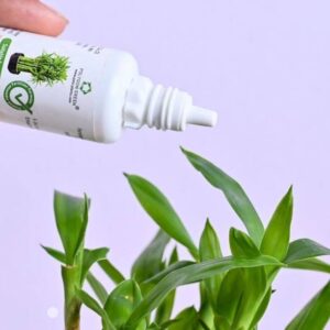 Polygon Green Plant Food for Lucky Bamboo,2,3 &5 Layer,...