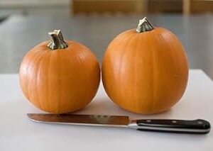 Golden Hills Farm Vegetable Seeds Large Melon Seeds - Pumpkin Seeds Creeper Vegetable Plant Terrace Gardening Home Garden Seeds 50 seeds