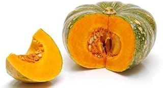 BALAJI TRADING COMPANY Pumpkin High Germination Seeds for Your Garden/Easy to Grow/Organic Hybrid Vegetable Seeds for Home and Terrace Gardening