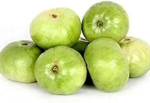 Tinda Seeds for Home Garden, Vegetable Growing Kit(100 seed(2 pack) + 200g vermi)