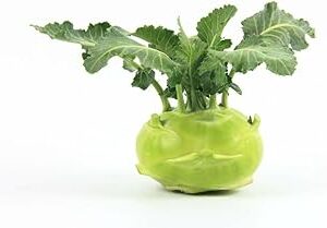 Kohlrabi Seed||Healthy Turnip/salgom/OlkopiSeed||50Piece Organic Seed for Indoor/Outdoor Home gardening||vegitable seed (Pack of-1) A_9
