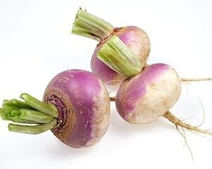 Kohlrabi Seed||Healthy Turnip/salgom/OlkopiSeed||50Piece Organic Seed for Indoor/Outdoor Home gardening||vegitable seed (Pack of-1) A_25