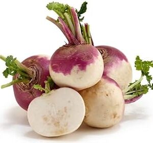 Kohlrabi Seed||Healthy Turnip/salgom/OlkopiSeed||50Piece Organic Seed for Indoor/Outdoor Home gardening||vegitable seed (Pack of-1) A_7