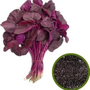 Natura GreenHouse Red Spinach - 10000 Seeds- LAL Sag High Yield Growing Seeds - Red Amaranthus Leaf Seeds
