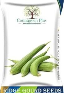 Countgreen Plus Premium Sponge Versatile Gourd (Torai) Vegetable Seeds – Pack of 20 Seeds for Thriving Growth and Bountiful Harvest – Ideal for Organic Home Gardens and Commercial Cultivation