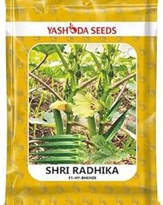 High Yield Hybrid Okra (Ladyfinger) Seeds – F1 Hybrid Seeds for Kitchen Garden, Balcony Pots, Terrace Farming and Agriculture -250gm