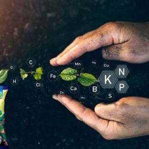 Nelgates Fertilizer for gardens that promotes vibrant g...