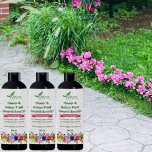 Zeenny Flora Pack Of 3, Super Plant Boost For Root Stre...