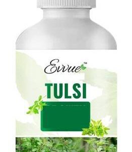 Evvue Tulsi Plant Boost Liquid Biofertilizer 3Pc for al...