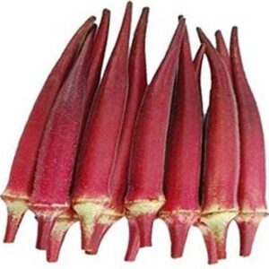 Aywal High Yield Red Lady Finger Hybrid F1 SUPREME Seed