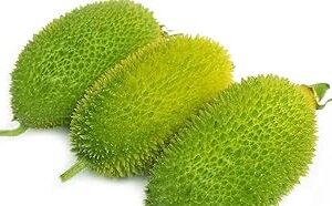 16 seeds, Kantola seeds hybrid small pack, Germination tested (16 seeds)