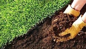 Creative Farmer Natural Fertilizer and Pesticide Vermi Compost for Kitchen Garden (5 kg)