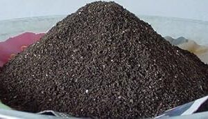 Creative Farmer Vermi Compost Manure for Plants (Neem Khali) for Bonsai (1 kg)