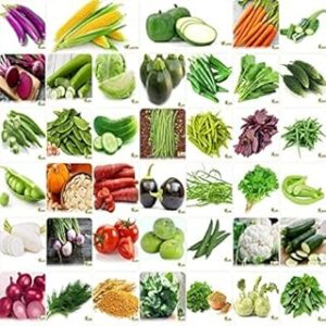 Monsoon vegetable seeds (350 seeds)