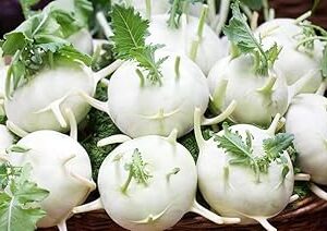 Kohlrabi Seed||Healthy Turnip/salgom/OlkopiSeed||50Piece Organic Seed for Indoor/Outdoor Home gardening||vegitable seed (Pack of-2) A_44
