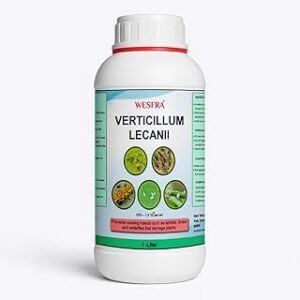 Verticillium Lecanii | Organic Plant Pest Control | Effective Natural Insecticide for Thrips, Aphids, Whiteflies & More | 1 Litre | Safe for All Plants | Ideal for Agriculture & Home Gardening