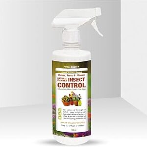 Green Dragon's Natural & Organic | Garden Insect Control 500ml, Plant Based Formula, Indoor & Outdoor, Kills Horticulture Insects, Aphids, Mites & Gnats, Kills All Stages & Eggs, Children & Pets Safe