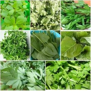 Green leaf vegetable seeds,100% germination (700 seeds)