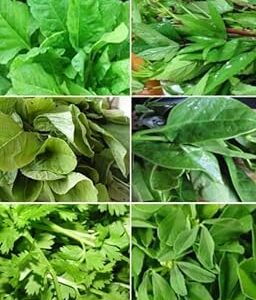 Organic seeds for home gardening leafy vegetables,100% germination (700 seeds)