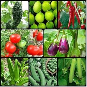 Monsoon vegetable seeds (400 seeds)