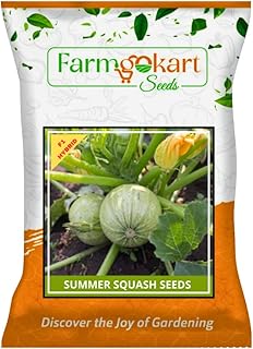 Farmgo ~ 10 Grams - SUMMER SQUASH SEEDS-HYBRID F1 PLANTING SEEDS | (Appx Seed count : 80-90 Seeds) |Perfect for Home Gardening, Open Farming and Poly House Farming