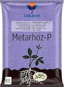 Utkarsh Metarhizium Anisopliae 1% W.P. 1 x 10^8 CFU/gm min. for Plants, Crops and Home Gardening - Metarhoz-P (1 Kg; Pack of 1)