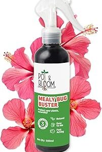 Pot and Bloom Mealy Bug Buster Spray| Natural Germs and Fungus Killer for Plants| No Harmful Chemicals| Indoor & Outdoor Plants| Ready to Use|Helps in Plant Growth| 500 ML