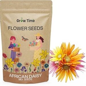 Growtime African Daisy Mix Flower Seeds, Flower Seeds for Home Gardening, Flower Planting Seeds for Kitchen, African Daisy Mix Flower Seeds (Pack of 50 Seeds)