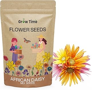 Growtime African Daisy Mix Flower Seeds, Flower Seeds for Home Gardening, Flower Planting Seeds for Kitchen, African Daisy Mix Flower Seeds (Pack of 50 Seeds)