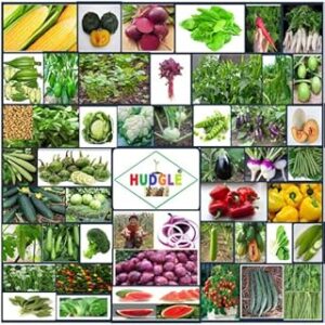 Hudgle Garden Seeds 45 Variety of Vegetable Seeds with Instruction Manual