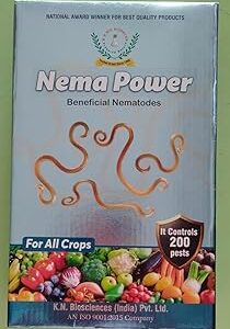 Nema Power(EPN), 1Kg | Control Soil Insects and White Grubs in Your Plants