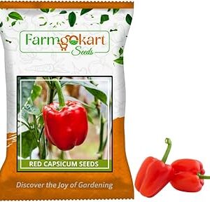 Farmgokart ~ Capsicum Red (Variety Name: California Wonder) Planting Seeds – ideal for both home gardening, Open farming, and Poly Houses, Seed Count 500 Seeds