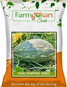 Farmgo ~ 10 Grams - PUMPKIN (OVAL SHAPED/OBLONG) HYBRID F1 HYBRID PLANTING SEED | (Appx Seed Count 50 to 60 Nos) | Perfect for Home Gardening, Open Farming and Poly House Farming