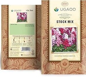 UGAOO Stock Flower Seeds (Multicolour, Pack of 30)