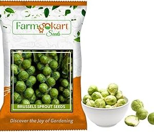 Farmgokart ~ Brussel Sprout imported Planting seeds – ideal for both home gardening, Open farming, and Poly Houses (Appx Seed Count : 1000 Nos - 10 Grams)