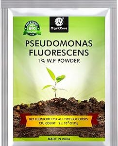 OrganicDews Pseudomonas Fluorescens Powder 125 g (2x10^8 CFU/g) For Seeds and Garden Plants - 125 g